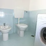 Shedir ביביונה
