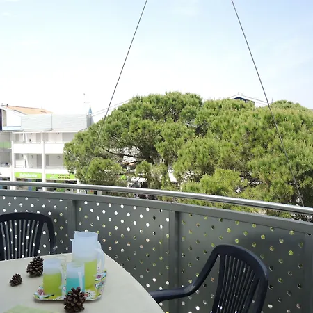 Shedir ビビオーネ