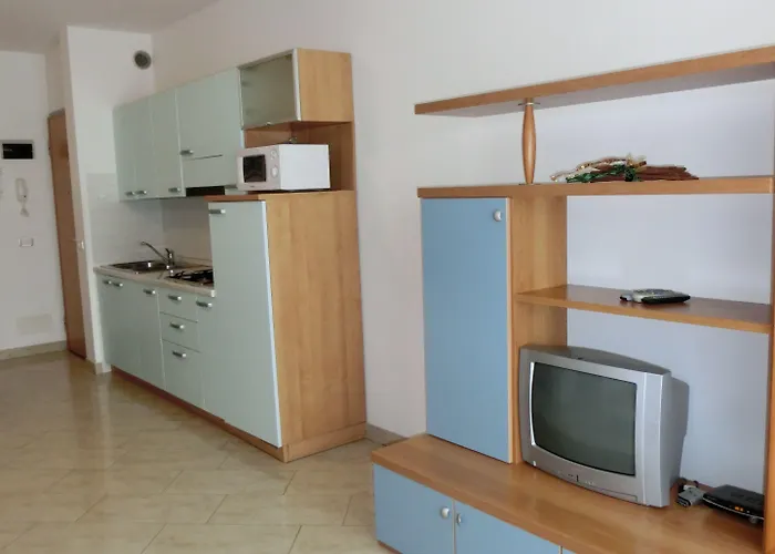 Shedir ビビオーネ