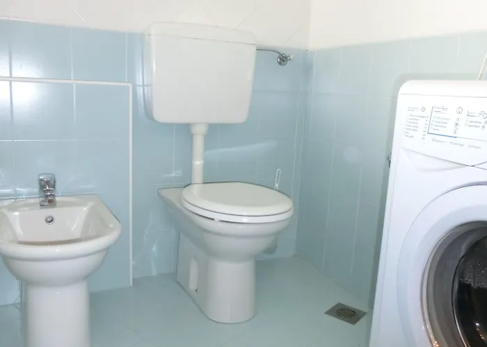 Shedir ビビオーネ