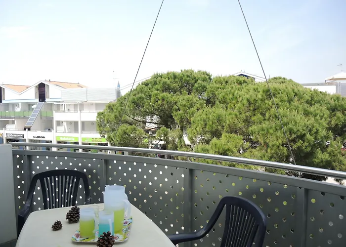 Shedir ビビオーネ